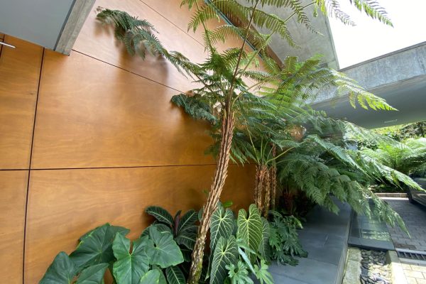Fachadas y revestimientos hunter douglas (24)