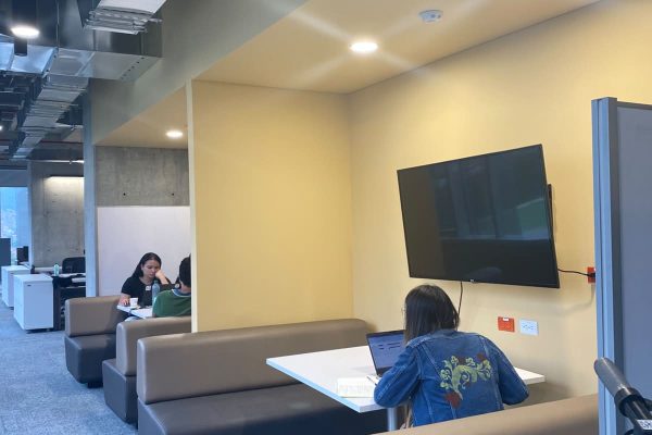 Sistemas livianos drywall y superboard (3)